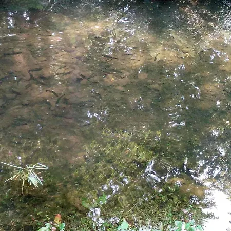 Il Canale