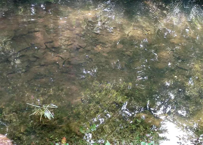 Il Canale